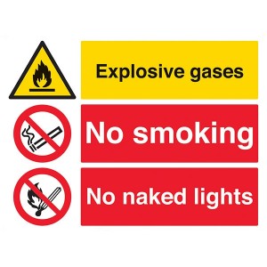 Explosive Gases / No Smoking / No Naked Lights - Landscape - Large