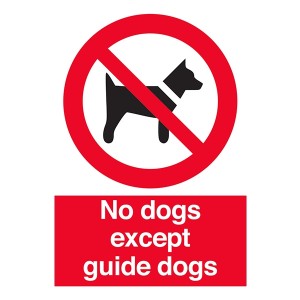 No Dogs Except Guide Dogs - Portrait