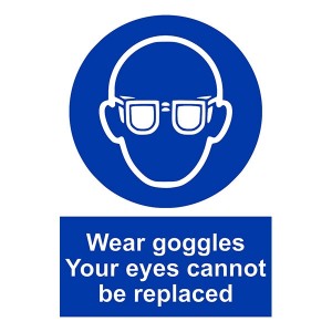 Wear Goggles Your Eyes Cannot Be Replaced - Portrait