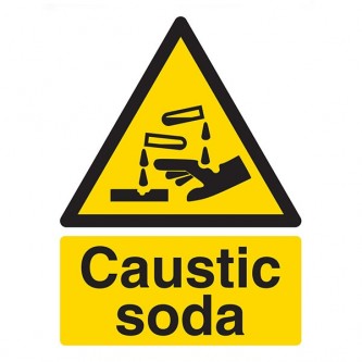 Caustic Soda - Portrait