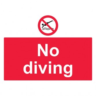 No Diving - Landscape - Large