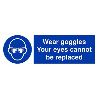 Wear Goggles Your Eyes Cannot Be Replaced - Landscape